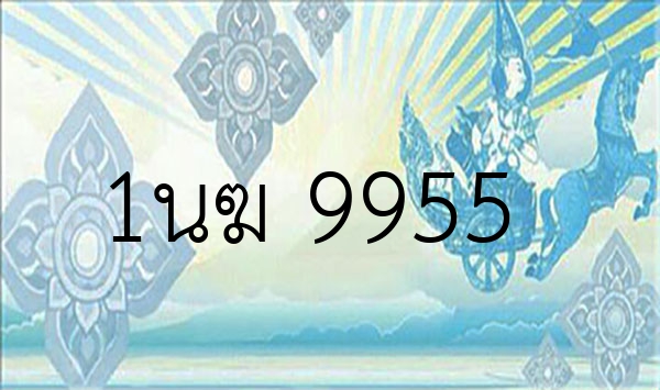 1นฆ 9955